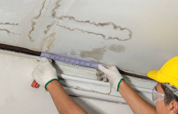 Reliable Sewage Cleanup contractor in Rockville, CT by Water Damage Irwin